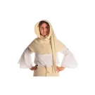 Mittelalter Gugel Ampflise in Beige Frontansicht